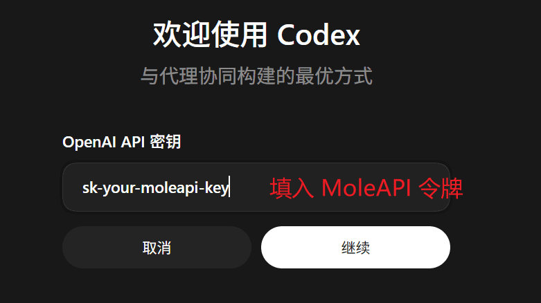 在 Codex 中编辑并保存 API Key