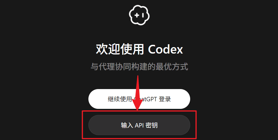Codex 中选择 API Key 方式并填入密钥